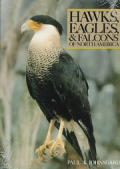 Hawks Eagles & Falcons Of North America