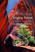 Singing Stone