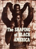 Shaping Of Black America