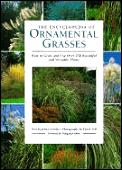 Encyclopedia Of Ornamental Grasses How To Grow