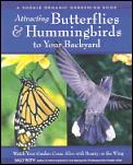 Attracting Butterflies & Hummingbirds To
