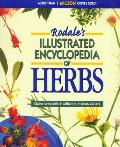 Rodales Illustrated Encyclopedia Of Herbs