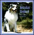 Australian Shepherd Champion Of Versat