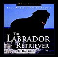 Labrador Retriever The Dog That Does It