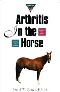Concise Guide To Arthritis In The Horse