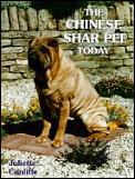 Chinese Shar Peis Today