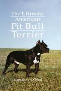 Ultimate American Pit Bull Terrier