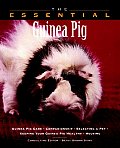 Essential Guinea Pig