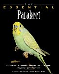 Essential Parakeet