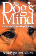 Dogs Mind Understanding Your Dogs Behavior