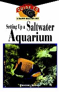 Setting Up A Saltwater Aquarium
