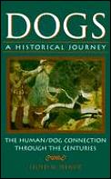Dogs A Historical Journey The Human Dog