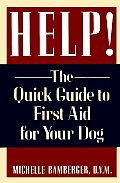 Help The Quick Guide To First Aid For Your Dog