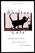 Shelter Cats Adopting From A Shelter