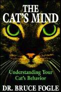 Cats Mind Understanding Your Cats Bevio