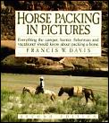 Horse Packing In Pictures