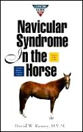Concise Guide To Navicular Syndrome In Horse