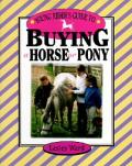 Young Riders Guide To Buying Horse Or Pony