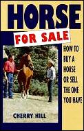 Horse For Sale How To Buy A Horse Or Sel