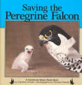 Saving The Peregrine Falcon