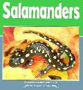 Salamanders A Carolhoda Watch Book