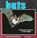 Bats Mysterious Flyers Of The Night