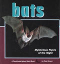 Bats Mysterious Flyers of the Night