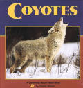 Coyotes Nature Watch