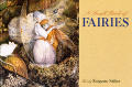 Small Book Of Fairies