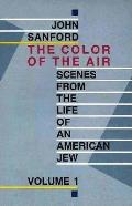 Color of the Air Scenes from the Life of an American Jew