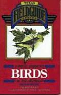 A Field Guide to Birds of the Big Bend, 2nd Edition