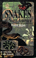 Snakes Of North America Western Region