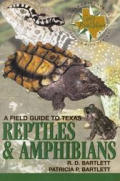 Field Guide to Texas Reptiles & Amphibians