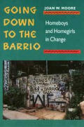 Going Down to the Barrio: Homeboys and Homegirls in Change