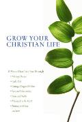 Grow Your Christian Life: The Christian and Sexual Sin