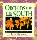Orchids for the South: Growing Indoors and Outdoors