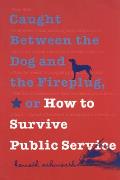 Caught Between the Dog & the Fireplug or How to Survive Public Service
