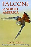 Falcons of North America