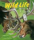 Wild Life of Elk