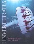 Invertebrates 2nd Edition