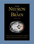 From Neuron To Brain