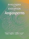 Phylogeny and Evolution of Angiosperms