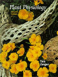 Plant Physiology 2nd Edition