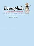 Drosophila: A Laboratory Handbook