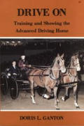 Drive On Training & Showing The Advanced Driving Horse
