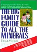 Big Family Guide To All Minerals