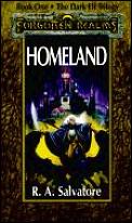 Homeland Forgotten Realms Dark Elf 01
