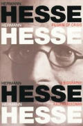 Hermann Hesse Pilgrim Of Crisis