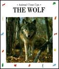 Wolf Night Howler Animal Close Ups