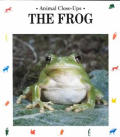Frog Animal Close Ups
